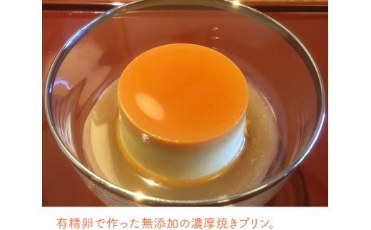 無添加 焼き プリン 12個セット スイーツ デザート 洋菓子 高級素材