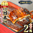 東串良町のうなぎ蒲焼(無頭) 2尾(320g以上・タレ、山椒付)