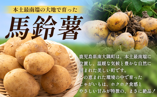 【先行予約】じゃがいも 馬鈴薯 (バレイショ) ≪2L～L≫ 約10kg×1箱 /ニシユタカ (約30個) ≪ 2026年3月20日頃より順次発送≫ CS-1｜産地直送 旬 ジャガイモ 芋 ポテト ば