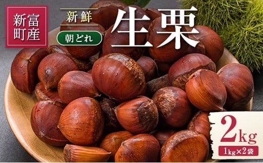 ＜期間限定＞国産 新鮮朝どれ（生栗）2kg お取り寄せ 産地直送 宝珠栗 数量限定 宮崎県新富町産【B669】
