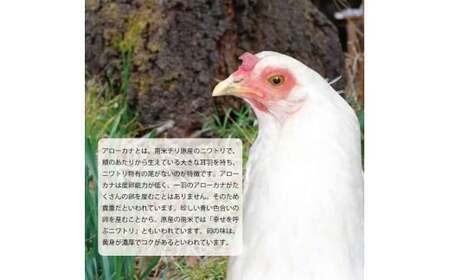 【徳島県産 卵】10個 卵 鶏 アローカナ 鶏卵 最強のTKG 高級 しあわせの青い卵 平飼い 採れたて 希少 国産 | たまご 卵 タマゴ 玉子 エッグ 卵かけご飯 TKG ゆで卵 卵焼き オムライ