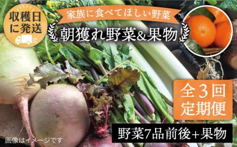【全3回定期便】こだわり野菜 (7品前後) セット ＋ 果物 《糸島》【オーガニックナガミツファーム】 [AGE007]