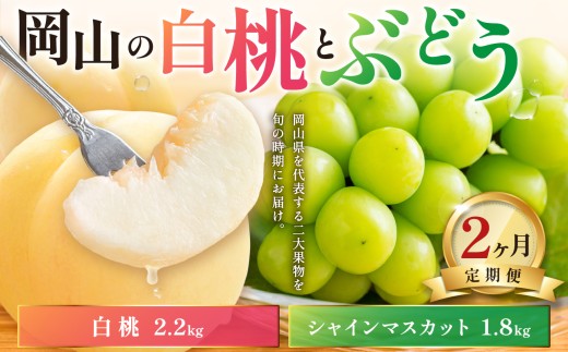 【2027年発送】【定期便】岡山の白桃とシャインマスカット２回お届け（令和9年8月下旬～9月下旬頃発送）【岡山県産 桃 白桃 ぶどう 葡萄 シャインマスカット 2回 フルーツ 果物 くだもの デザート 先行予約 先行受付】