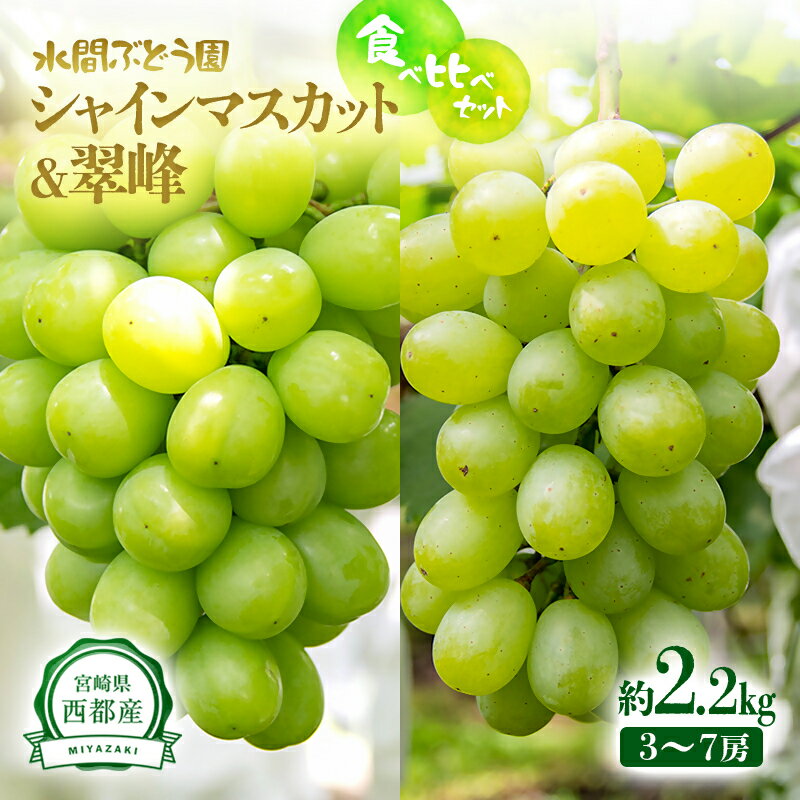【ふるさと納税】『シャインマスカット』『翠峰』詰合せ（約2.2kg）食べ比べセット【先行予約】西都市 水間ぶどう