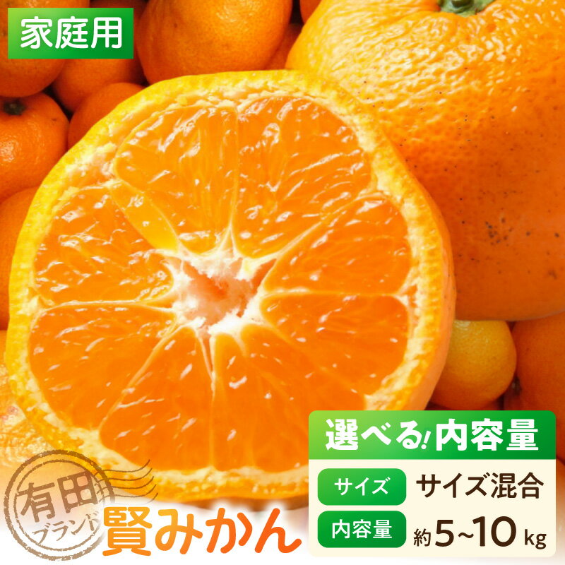 【ふるさと納税】【2026年先行予約】 【家庭用】 賢みかん サイズ混合 選べる 内容量 約5kg 約10kg 有田ブランド 濃厚 甘さ 酸味 バランス 糖度 高い 果汁 ミカン 果物 柑橘 温州みかん 有田みかん フルーツ お取り寄せ 食品 食べ物 国産 和歌山県 湯浅町 送料無料