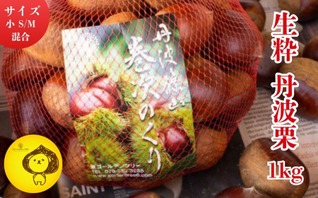 【2025年10月中旬より発送】生粋丹波栗　巻次のくり　小 S、M混合　1.0ｋｇ | 兵庫県 丹波篠山市 プレミアム栗 期間限定 お取り寄せグルメ 高級 特産品 名産品 マロン 関西 西日本 GDT