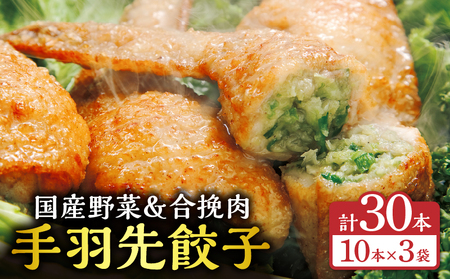 手羽先餃子30本入り 餃子 ぎょうざ 手羽餃子 手羽先餃子 おススメ おかず お惣菜 惣菜 お取り寄せ グルメ 名物 手羽