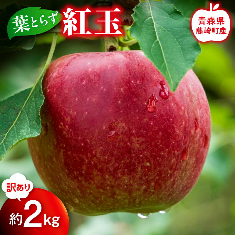 【ふるさと納税】【先行予約】≪訳あり≫ 葉とらず 紅玉 約2kg【グランドアップル】 青森りんご リンゴ 林檎 アップル 果物 くだもの フルーツ 家庭用 わけあり ワケアリ F41-0032