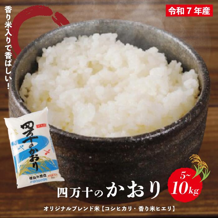 【ふるさと納税】 米 5kg 10kg 【 令和7年産 】コシヒカリ 香り米 ヒエリ 入り 四万十のかおり 国産 こしひかり ブレンド 精米 白米 ごはん おいしい ふっくら もちもち 高知県 四万十市 しまんと 土佐 送料無料