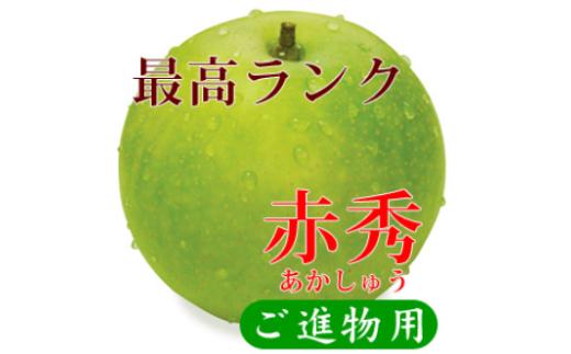 鳥取県産 二十世紀梨 “赤秀” 3kg （8〜9玉/4L～3Lサイズ）