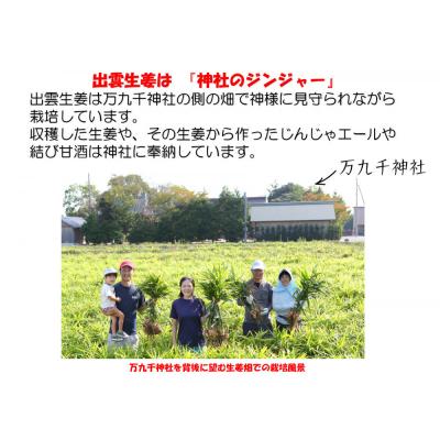 ふるさと納税 出雲市 出雲生姜シロップ3本セット |  | 02