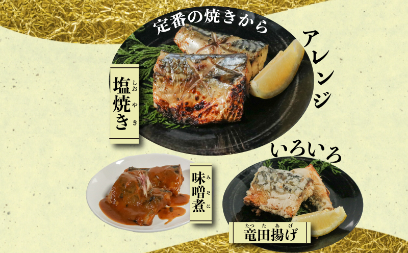 訳あり 塩サバ 切り身 約3kg(7切×6袋入り) 冷凍 鯖 塩 さば 魚 さかな 海鮮 海産物 おかず サバ 鯖ご飯 おすすめ 人気 さば サバ  鯖 魚 魚介 海鮮 惣菜 塩サバ 塩鯖 焼き鯖 サ