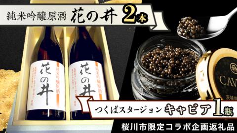 【桜川市限定コラボ】《花の井 純米吟醸 原酒 2本セット＆つくばスタージョン キャビア 20g×1瓶 》 酒 お酒 日本酒 高級食材 記念日 誕生日 世界三大珍味 国産キャビア [BR012sa]