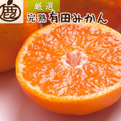 プレミアム 完熟有田みかん1kg+250g(傷み補償分)【光センサー選果】【温州みかん】【配送不可地域：離島・北海道・沖縄】【1661587】