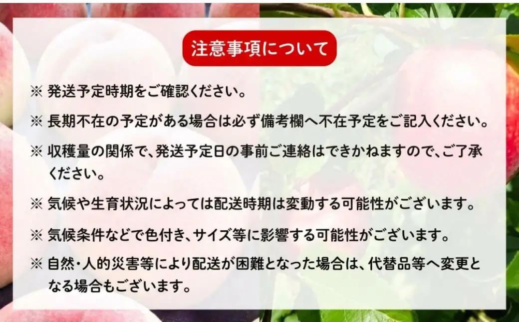 【9月下旬～11月上旬発送】飛騨りんご2種詰め合わせ 3kg | りんご リンゴ KU001