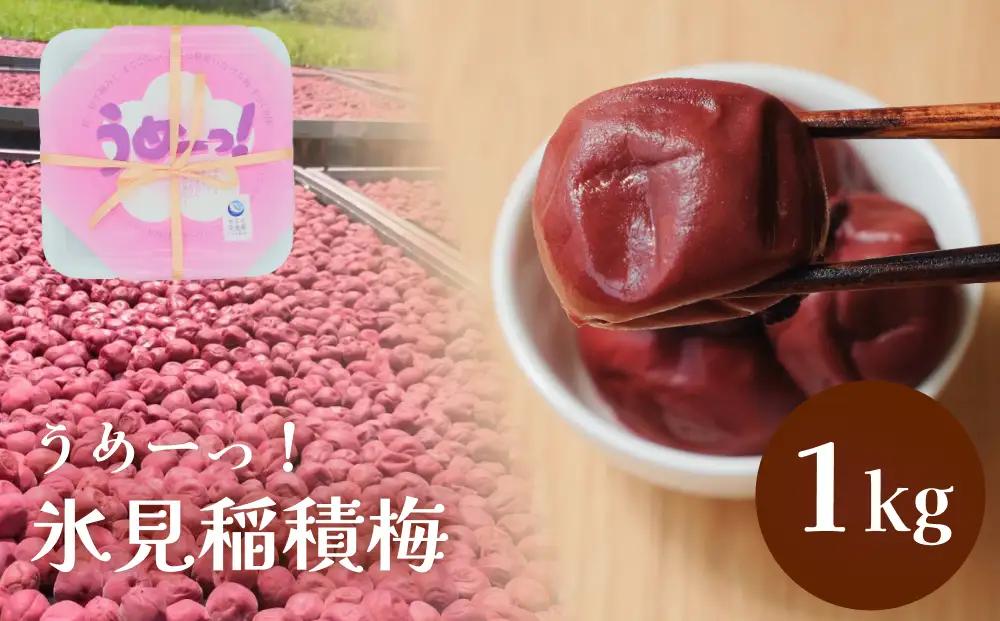 うめーっ！氷見稲積梅 梅干し1kg | 手作り 昔ながら 酸っぱい 梅干 