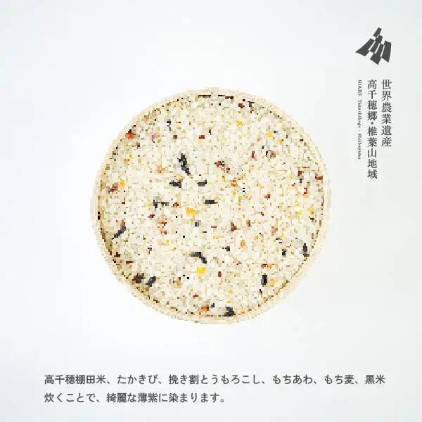 藤の花色に染まる六穀米「藤六穀（ふじろっこく）」 高千穂棚田米 たかきび 挽き割とうもろこし もちあわ もち麦 黒米 紫色 雑穀米 高千穂 宮崎 世界農業遺産 特選雑穀米 ヒノヒカリ 椎葉 諸塚 日の