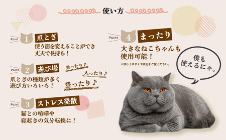 猫の爪とぎ　にゃん莊アパート（部屋番号付）