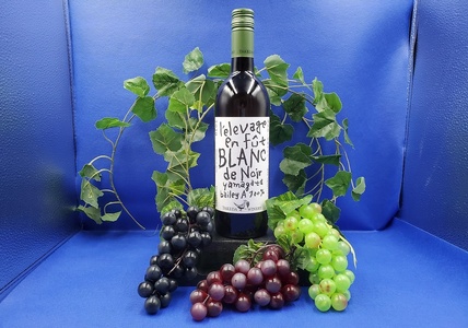 【２０２６年６月～発送】タケダワイナリー　ブラン・ド・ノワール樽熟成　白（辛口）　0141-2608