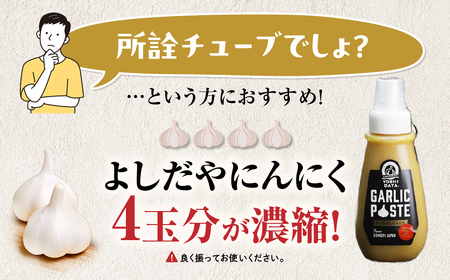 青森県産にんにく すりおろし 200g×２本 チューブ にんにく