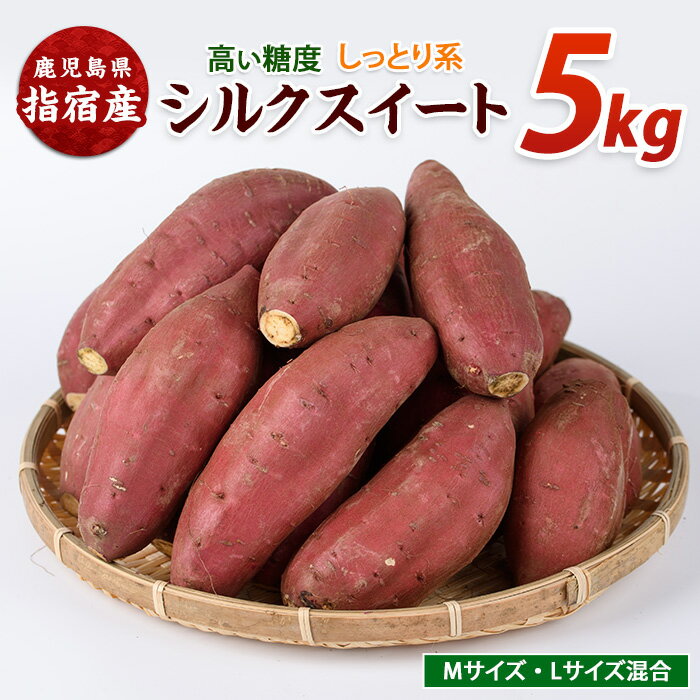 【ふるさと納税】＜期間限定＞鹿児島県指宿市産シルクスイート(合計約5kg) 鹿児島 さつまいも さつま芋 サツマイモ シルクスイート しっとり 蒸し芋 焼き芋 調理用 スイーツ おやつ デザート 常温 常温保存【らくと農園】