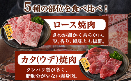 宮崎牛バラエティ焼肉セット1kg_AC-8922_(都城市) 宮崎県産 宮崎牛 ロース ウデ バラ 肩ロース モモ バラエティセット 食べ比べ 霜降り コク 旨み