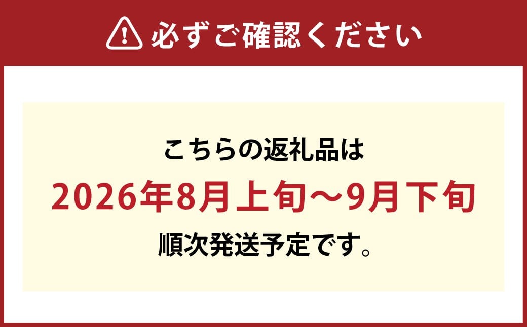 シャインマスカット【晴王】2kg 3房～5房入り
