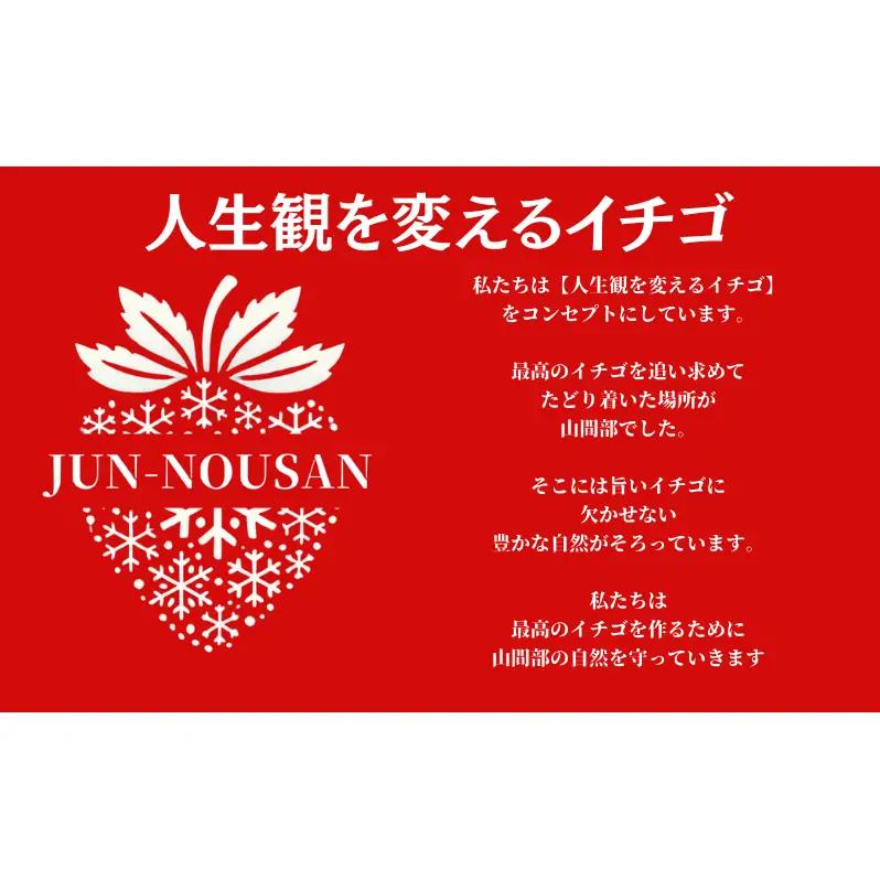 いちご 訳あり 先行予約 女神の雫 500g いちご