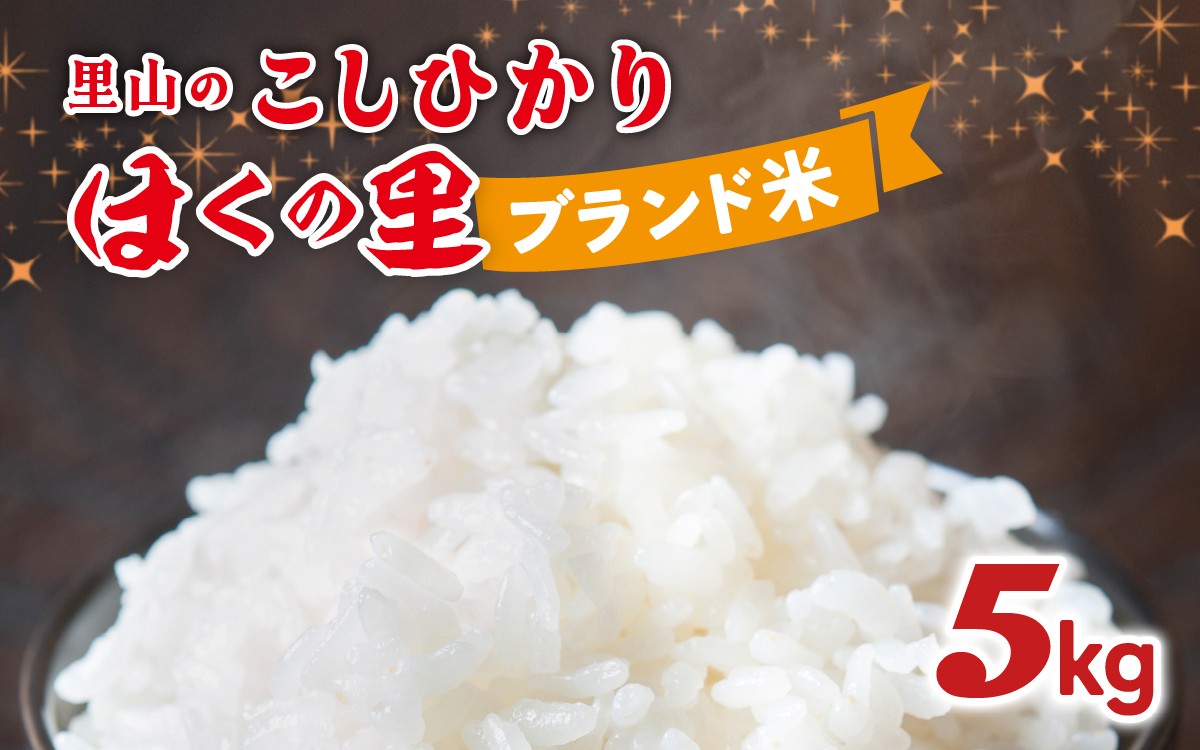 
                  里山のこしひかり ほくの里 5kg × 1袋  |  令和7年産 災害支援 こしひかり コシヒカリ ブランド米 銘柄米 お米 コメ こめ  5キロ 白米 精米 国産 選べる 石川県産
                
