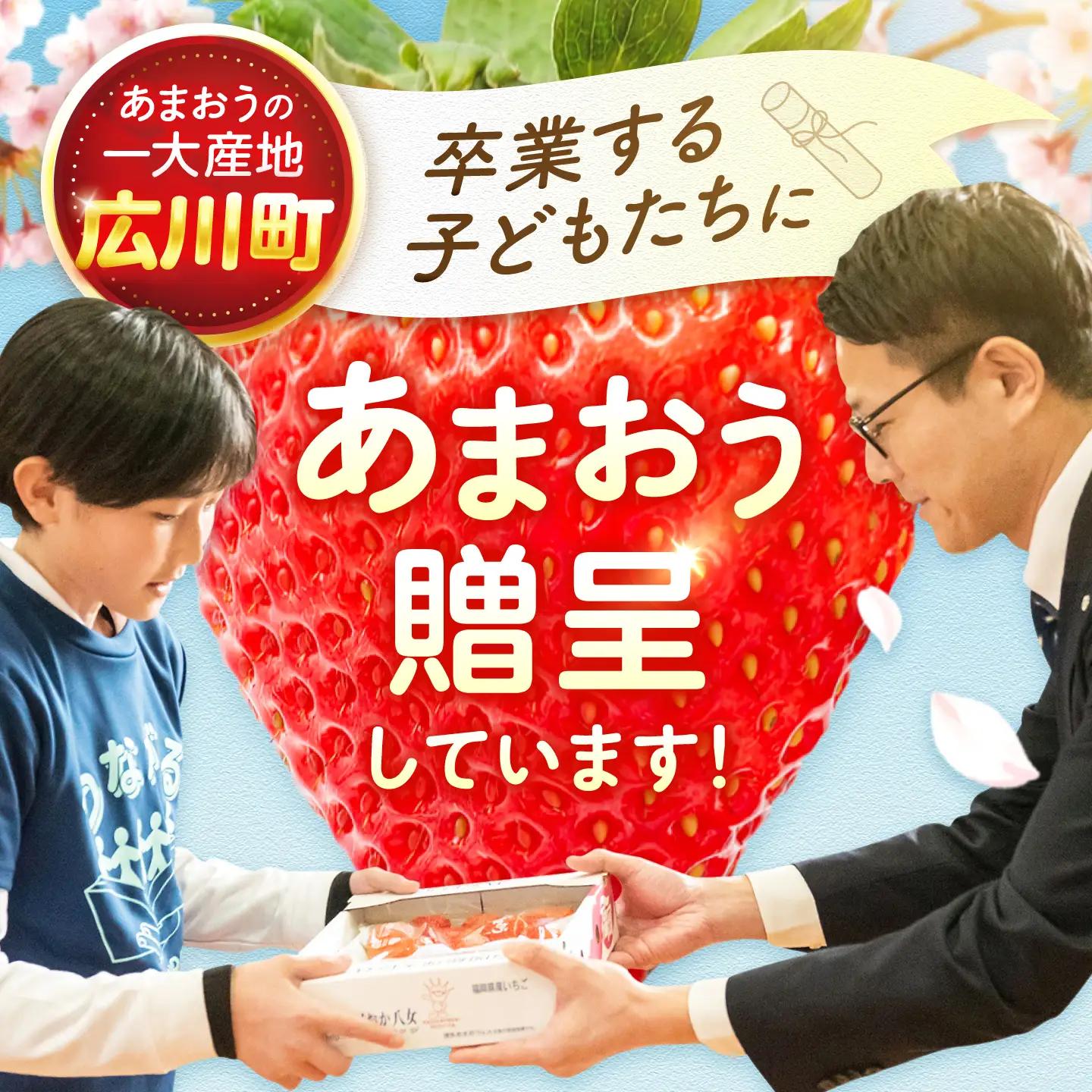 【2回定期便】いちご（あまおう）G等級 1ケース / あまおう[AFAB083]