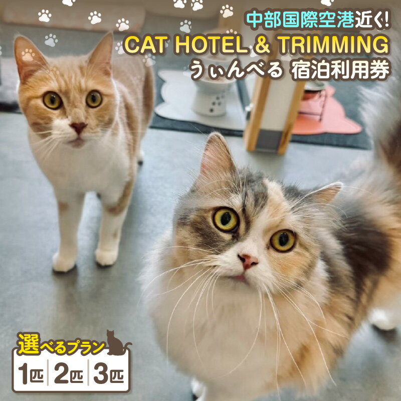 【ふるさと納税】CAT HOTEL & TRIMMING うぃんべる 宿泊利用券【選べるプラン：1匹・2匹・3匹】猫ちゃん専用 1泊2日 ペットホテル キャットホテル 宿泊券 見守りサービス 猫専用ルーム 窓付き個室 見守りカメラ ノンゲージ 完全個室 24時間webカメラで様子み可能 送料無料