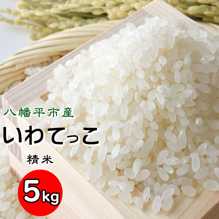 【令和7年産】 新米 11月中旬発送開始予定 いわてっこ 精米 5kg×1袋 ／ せの畑 こめ 米 コメ お米 おこめ ご飯 ごはん 白米 白飯