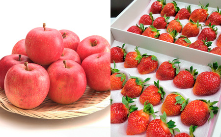 【定期便6回】山形フルーツ デラックス定期便 FY25-825