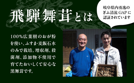 訳あり（簡易包装）飛騨舞茸 2kg まいたけ 舞茸 まいたけ【60-3】