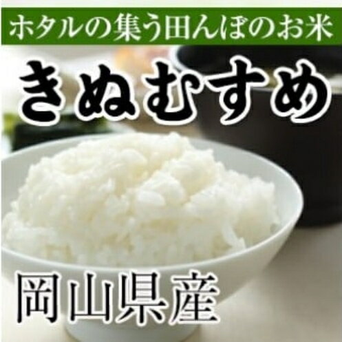 【ふるさと納税】＜定期便 全3回＞ 令和6年産 きぬむすめ 白米 約10kg ×3回 岡山県真庭市産 ／ 国産 お米 ブランド米【takenaka-tkb002】