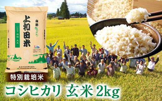 
令和6年度 山形県 高畠町産 特別栽培米 コシヒカリ 玄米 2kg お米 ブランド米 米 ごはん ご飯 F21B-255
