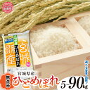 【ふるさと納税】米 無洗米 定期便 新米 白米 令和6年 宮城 ひとめぼれ 選べる 5kg 10kg 3ヶ月 6ヶ月 9ヶ月 定期便 ｜ 宮城県産 ヒトメボレ コメ 精米 米 コメ おすすめ 宮城 加美町 かみまち 菅原精米工業