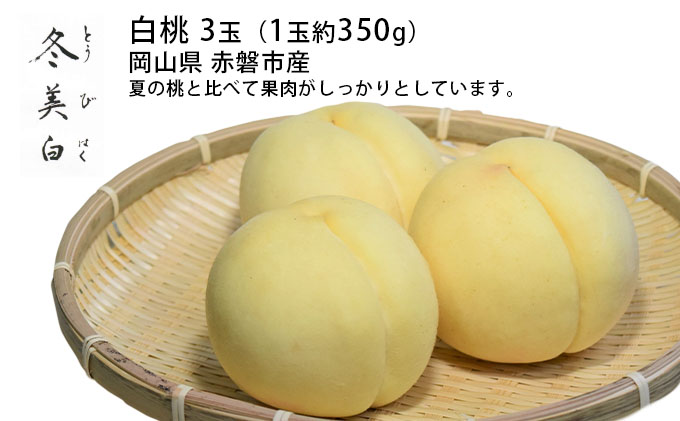桃 2025年 先行予約 白桃 冬美白 とうびはく 3玉 1玉約350g もも モモ 令和7年 岡山 赤磐市産 国産 フルーツ 果物 ギフト