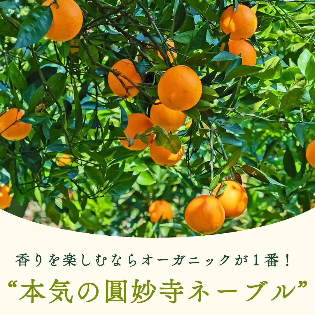 【 先行予約 】 瀬戸内 オーガニック 圓妙寺 ネーブル 9kg ( 25～35個程度 )+お試しオーガニックレモン1個 【2027年1月中旬以降発送】 