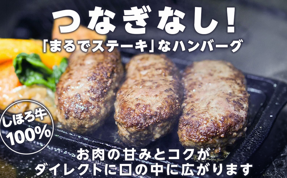 しほろ牛100％熟旨バーグ3個セット
