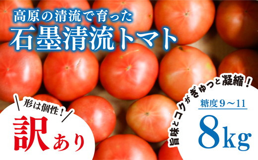 　【チョイス限定】訳あり トマト 8kg そのままでも 美味しい 【石墨清流トマト】糖度9～11度 久万高原町 トマトソース｜トマト とまと 自然栽培 野菜 カレー トマトソース 濃縮 ヒナタ 安心 酸味 甘味 清流 料理 農家 トマト農家 旨み サンドイッチ サンドウィッチ 新鮮 煮込み 煮込み料理 アレンジ 美味しい 手作業 人気 ギフト プレゼント 自然 小長谷勝也 ※2026年7月～発送