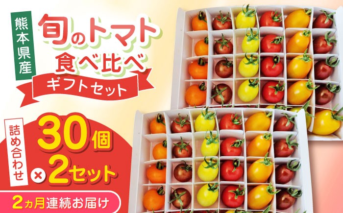 
            【全2回定期便】【期間限定】熊本県産 減農薬栽培 トマト ミディトマト 詰め合わせ 30個×2セット 計60個 食べ比べ ギフトセット 産地直送【矢仁田農園】 [YDE015]
          
