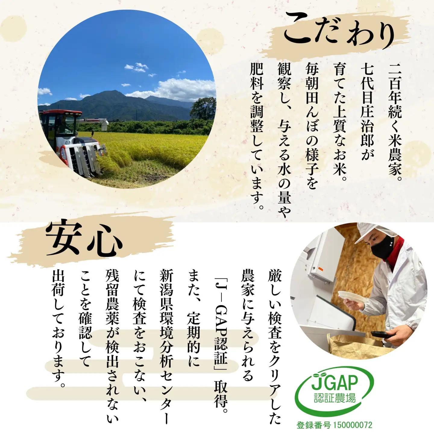 【令和7年】定期便5kg×6回 ごはんソムリエの南魚沼産コシヒカリ　100％塩沢産｜コシヒカリ