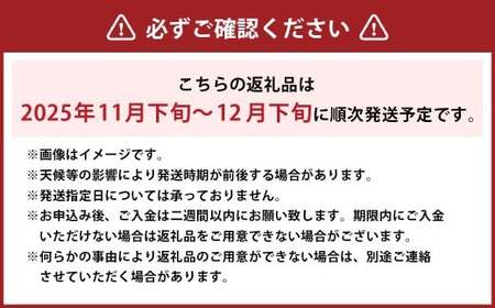 あたご梨・鴨梨（ヤーリー）詰合せ 2玉 合計約2kg 贈答箱 梨 ナシ なし 愛宕梨 あたごなし ジャンボ梨 【2025年11月下旬～12月下旬発送予定】