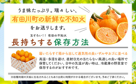 不知火 (しらぬい) 秀品 玉ぞろい 箱込 2.5kg (内容量約2.3kg)  和歌山県産 産地直送［みかんの会］