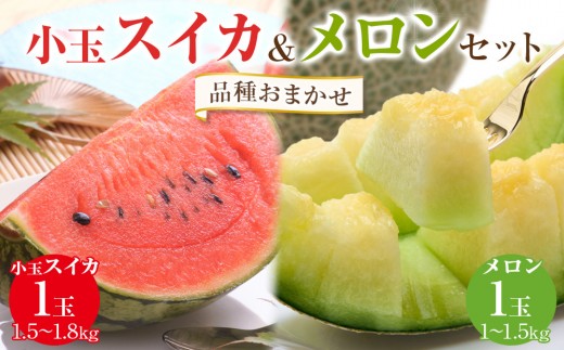 【先行受付】【品種はおまかせ】小玉スイカ1玉とメロン1玉セット ※2026年6月中旬頃～7月中旬頃に順次発送予定 | 西瓜 スイカ 小玉 すいか メロン めろん 果物 フルーツ くだもの 鳥取県 北栄