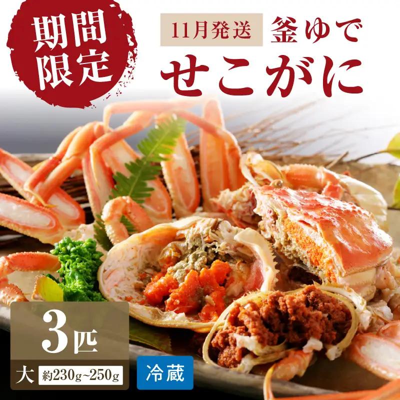 【カニ】【期間限定・冬の味覚！】釜ゆでせこがに 大サイズ (230ｇ～250ｇ) 3匹入り （11月発送）／北畿水産 カニ