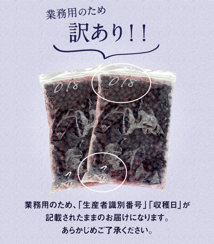 かの蜂 国産 【訳あり】 冷凍ブルーベリー2kg （1kg×2袋） 八女市産 ブルーベリー 国産 ブルーベリー 冷凍 フルーツ 八女市特産品 ヘルシー おやつ 栄養豊富 食物繊維 ビタミンC 福岡県 
