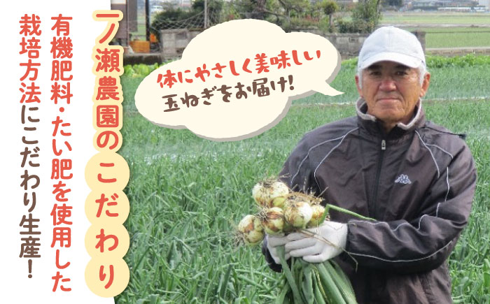 【農家直送！】こだわり 晩生玉ねぎ 約10kg【一ノ瀬農園】たまねぎ 玉葱 [IBQ009]