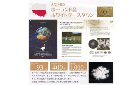 羽毛布団 シングル 冬用 本掛け 80番手サテン (アリーチェブルー 青 柄 ) 高級｜